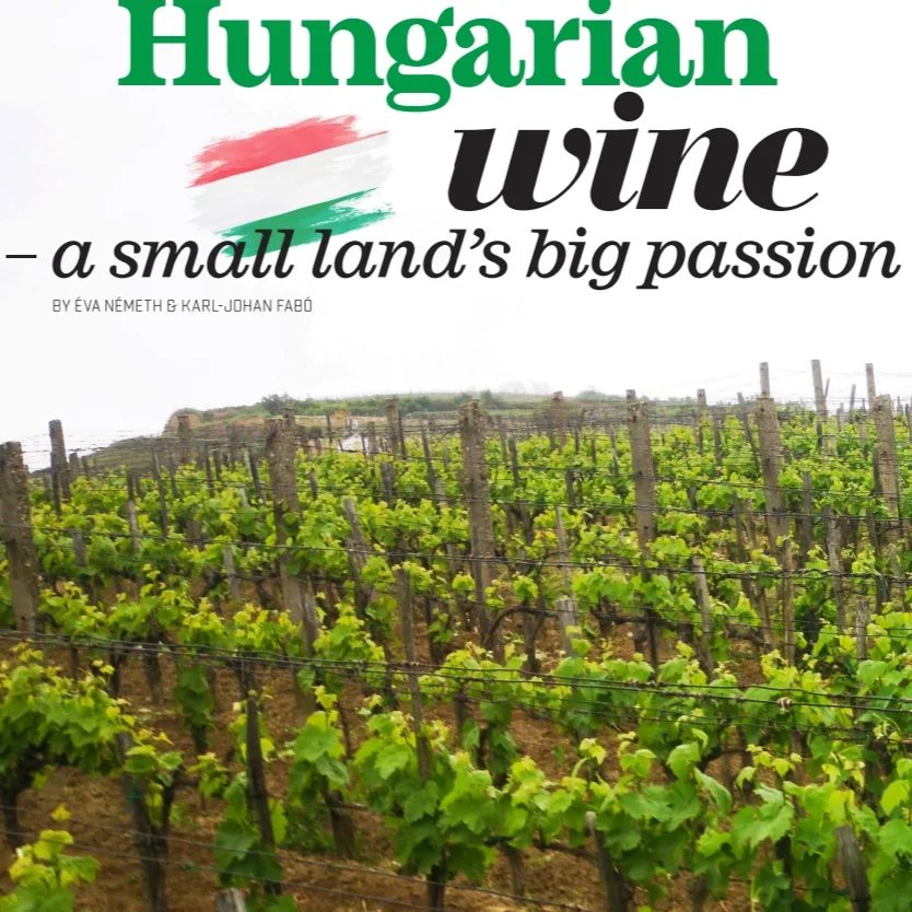 (27 juli 23) Artikel i det ledande vinmagasiet Livets Goda: ”Hungarian wine – a small land’s big passion”