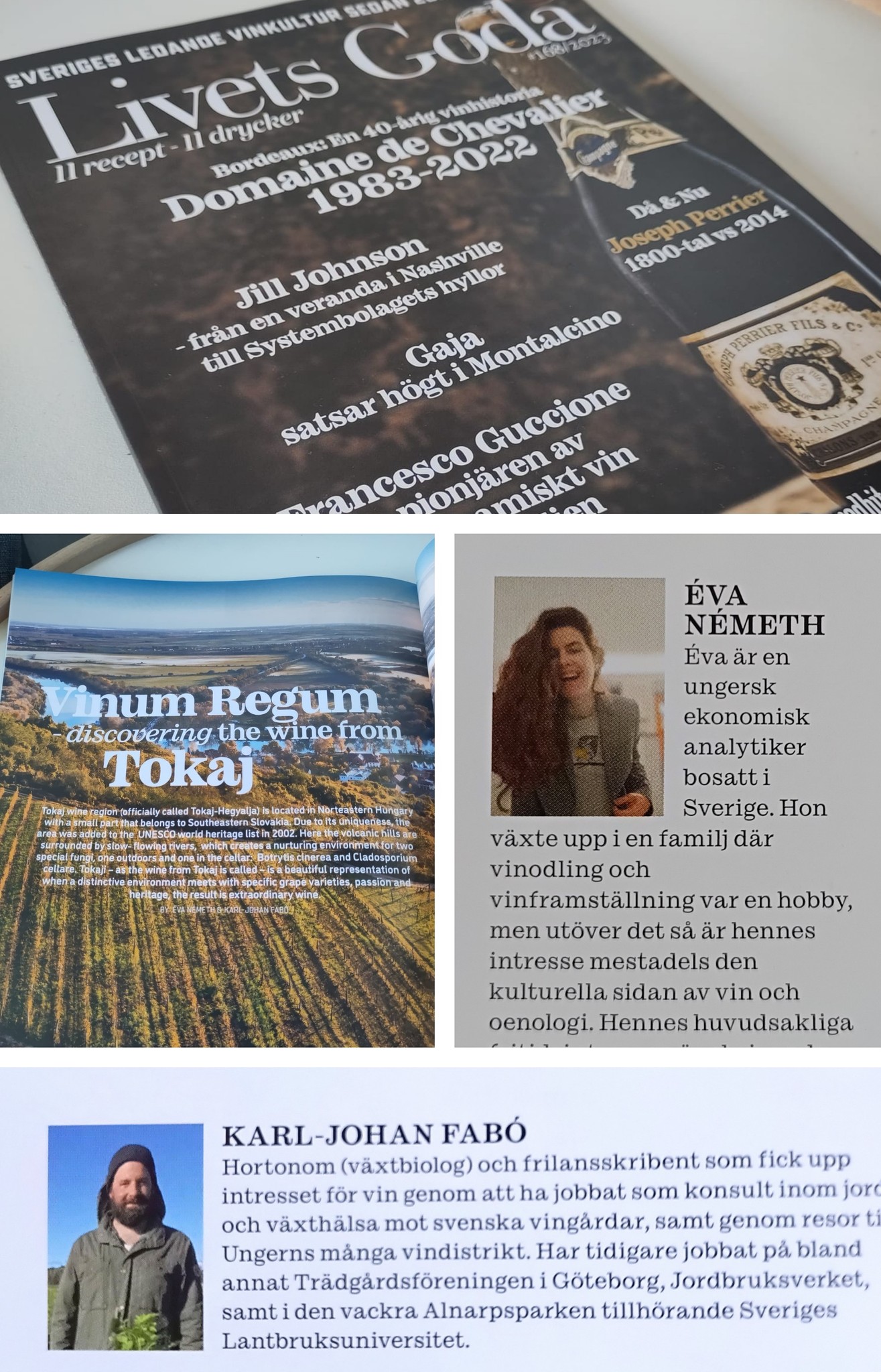 (8 nov 23) Artikel i det ledande vinmagasinet Livets Goda: ”Vinum Regum – discovering the wine from Tokaj”