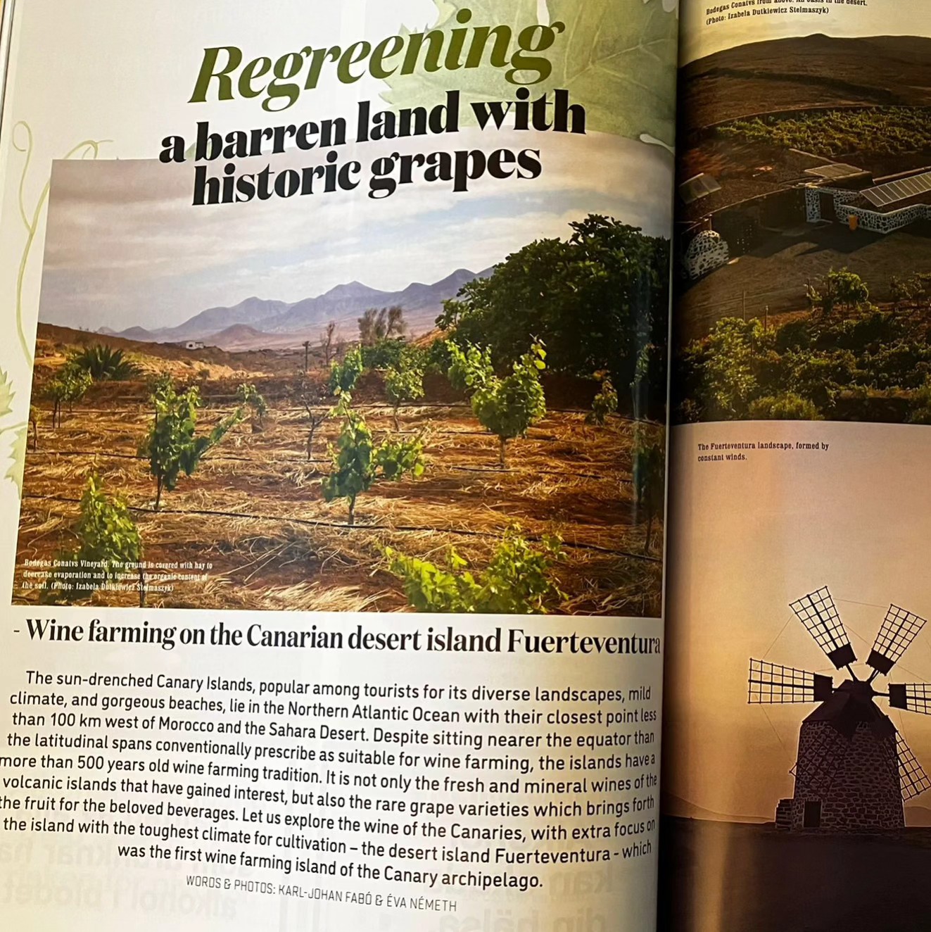 (15 juli 24) Artikel i det ledande vinmagasinet Livets Goda: ”Regreening barren land with historic grapes”